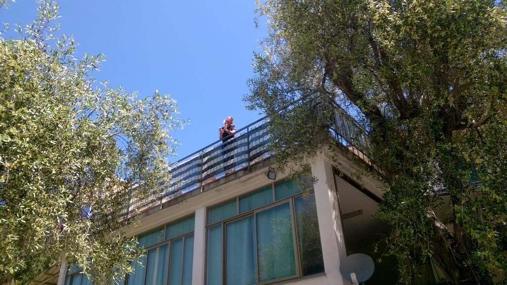 Bella Liguria Hotel Diano San Pietro Bagian luar foto